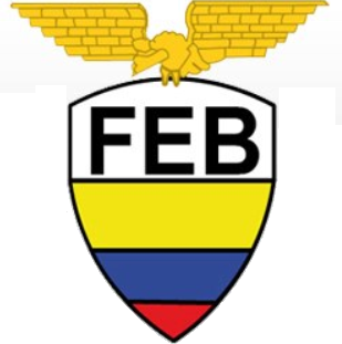 Ecuador 0-Pres Primary Logo iron on heat transfer